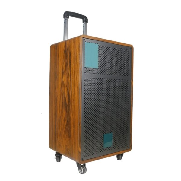 12 inch Big Power Wooden Portable Outdoor Trolley HiFi Box Bluetooth Speaker