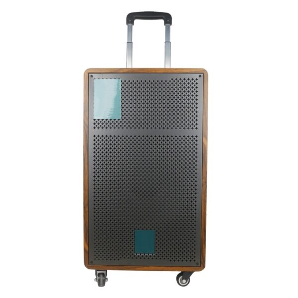 12 inch Big Power Wooden Portable Outdoor Trolley HiFi Box Bluetooth Speaker