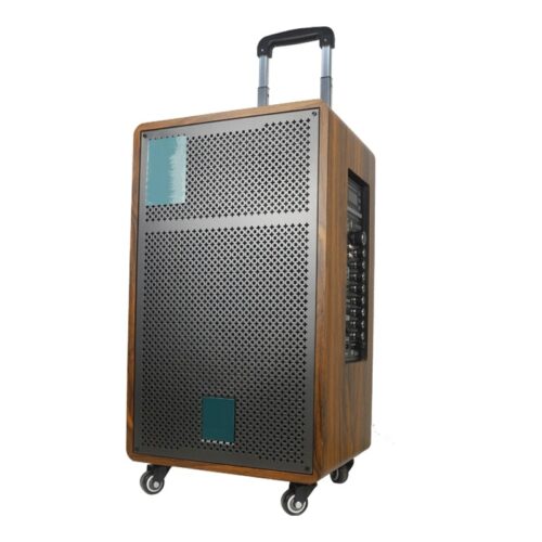 12 inch Big Power Wooden Portable Outdoor Trolley HiFi Box Bluetooth Speaker