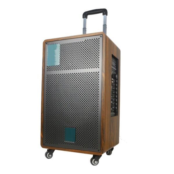 12 inch Big Power Wooden Portable Outdoor Trolley HiFi Box Bluetooth Speaker