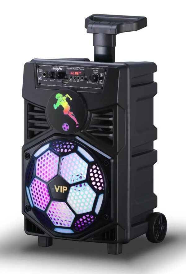 15 Inch Portable Rechargeable Outdoor Trolley Bluetooth Speaker with Mic