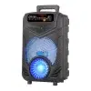 Multifunctional Super Bass Dual Subwoofer Karaoke Portable Speaker